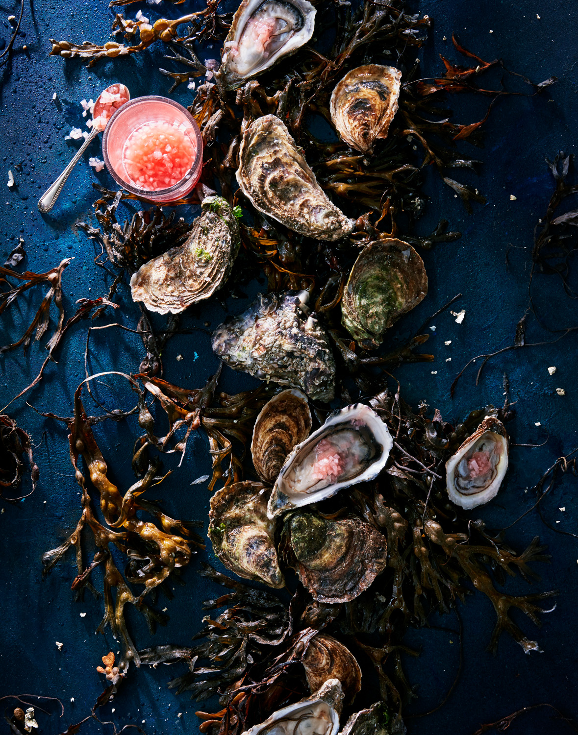 Oysters_01